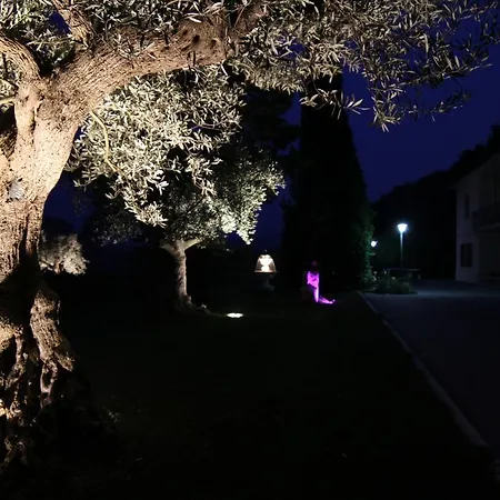 فندق مبيت وإفطار Il Villino 3*